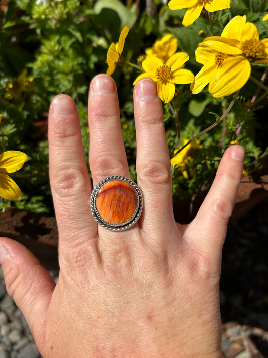 Autumn Ring